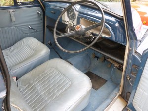ejo interior
